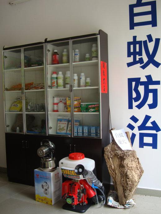 白蚁防治